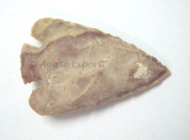 Betel Leaf Arrowhead