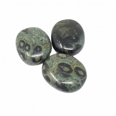 Kambaba Agate Palm Stone