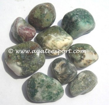 Tree Agate Pebble Stone.