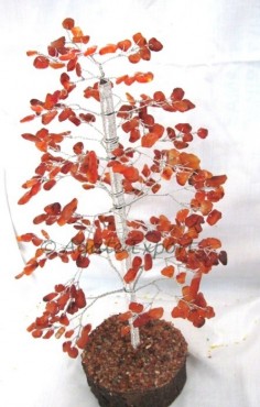 Carnelian 300 Pcs Chips Tree