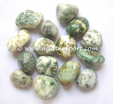 Tree Agate Tumbled Stones